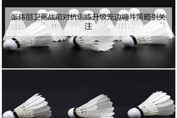 张伟丽卫冕战前对抗训练升级笼边缠斗策略引关注