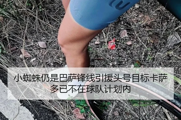 小蜘蛛仍是巴萨锋线引援头号目标卡萨多已不在球队计划内